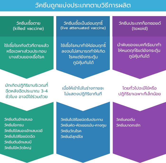 Vaccine Category