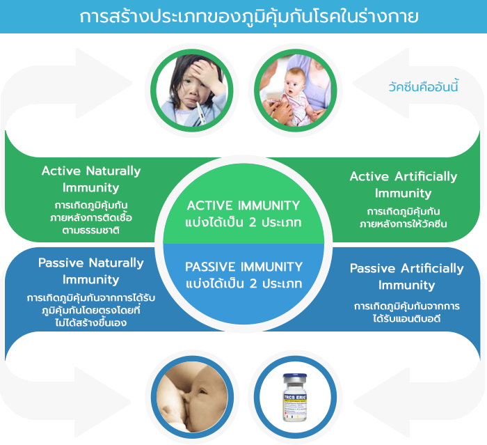 howtoImmunitya