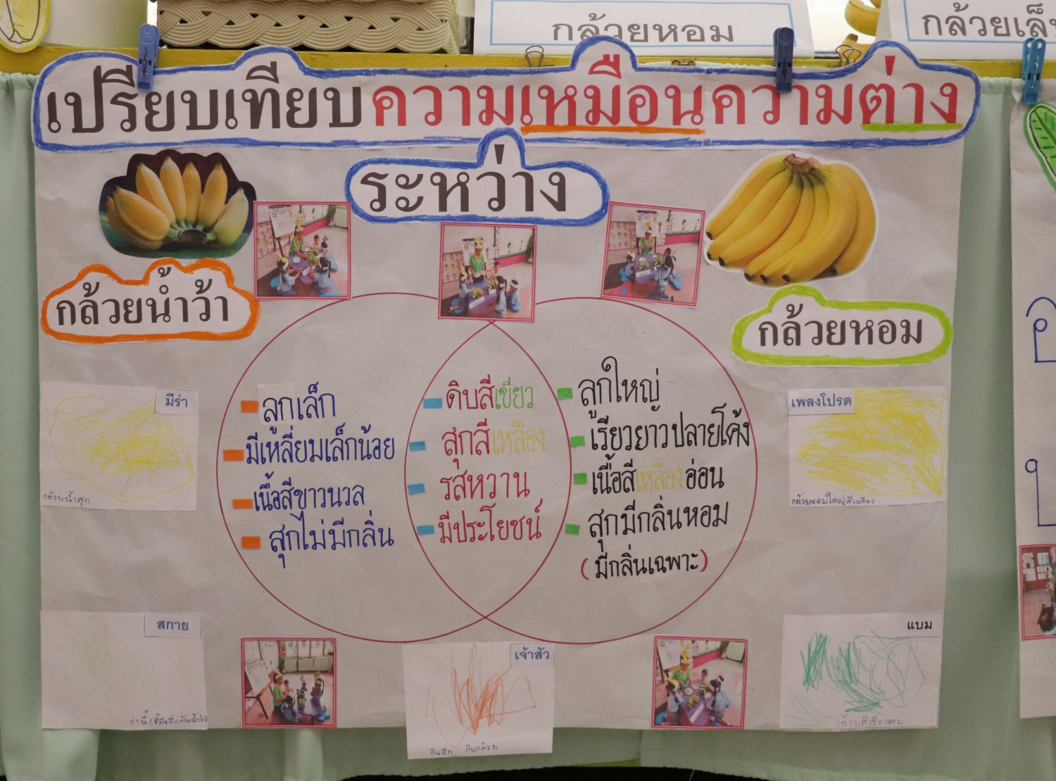 12 กันยายน 68 นิเทศฯ กุหลาบวิทยา 16