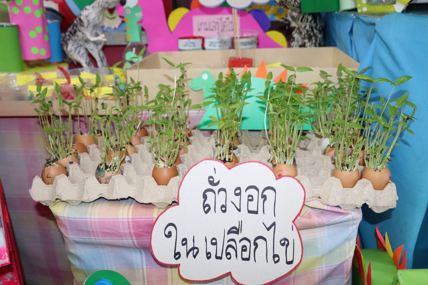 13 ธ.ค. 67 นิเทศฯ ยอแซฟอยุธยา 16