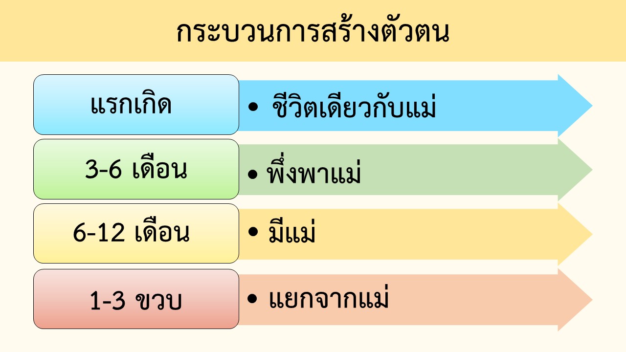 13 พ.ค. 68 เนอสเซอรี่ 21