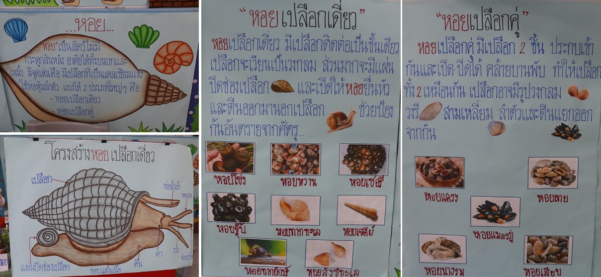 15 พ.ย. 66 นิเทศฯ รร.อู่ทอง 31 2