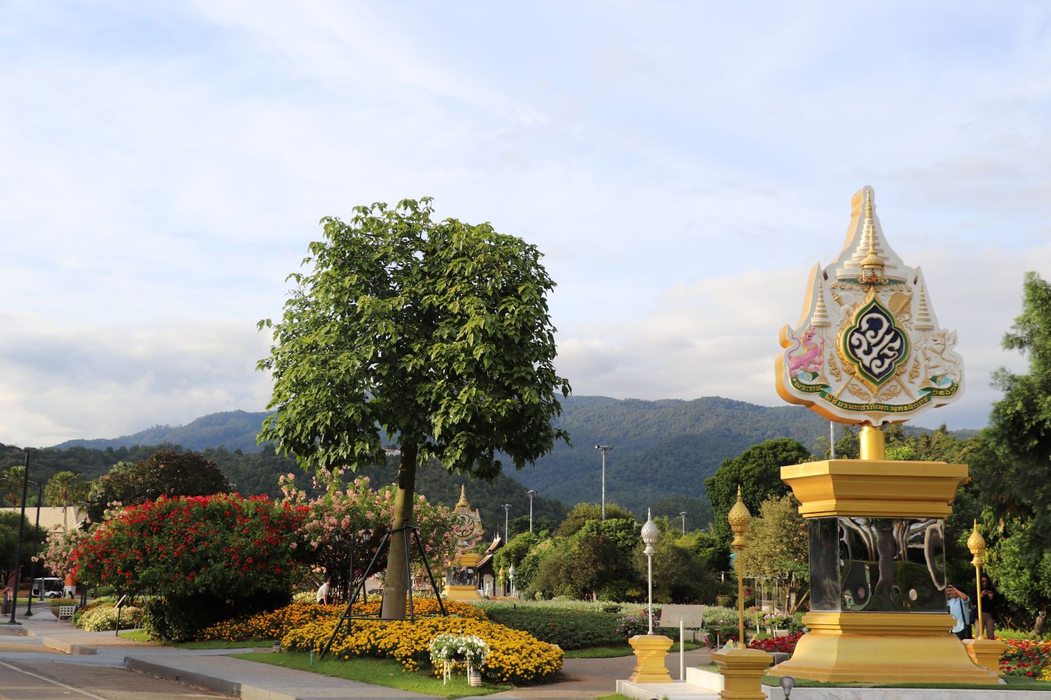 17 พ.ย. 66 อุทยานหลวงราชพฤกษ์ 16