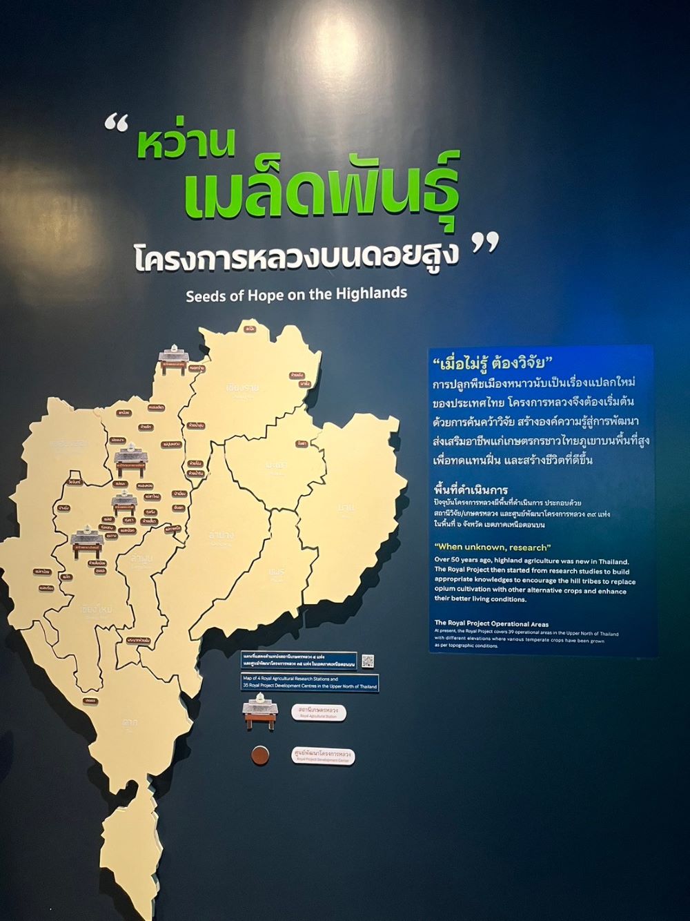 17 พ.ย. 66 อุทยานหลวงราชพฤกษ์ 3