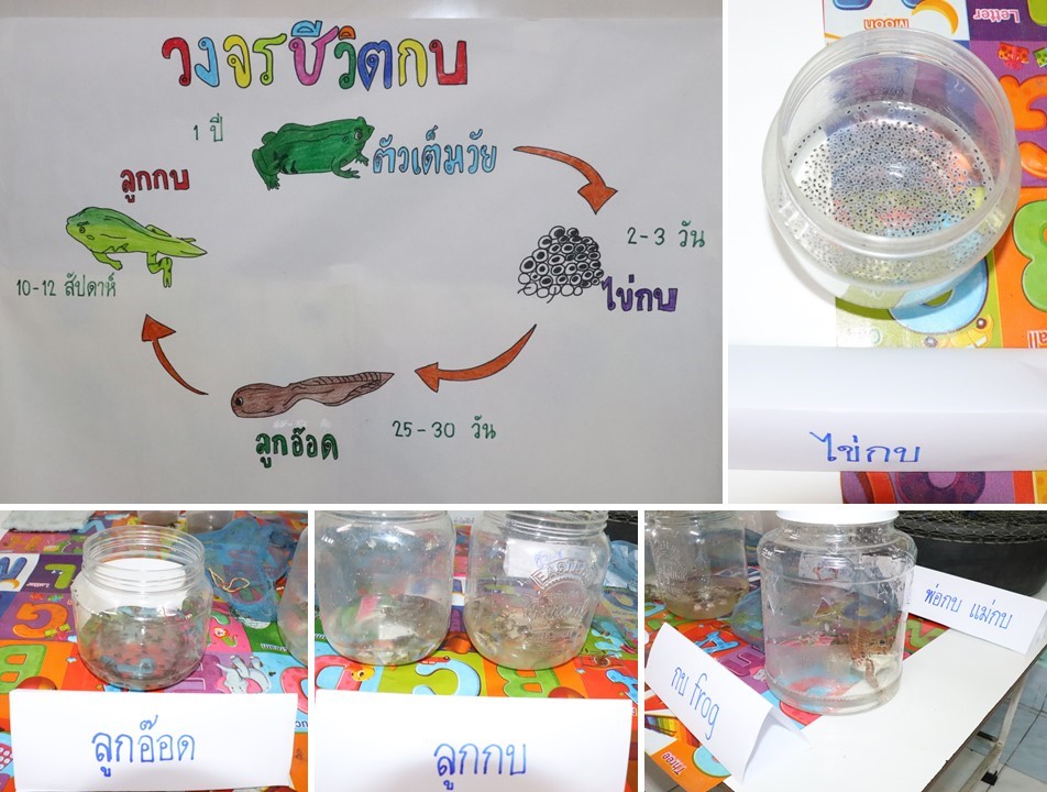 20 ก.ย. 66 นิเทศฯ รร.มาลาสวรรค์พิทยา 21