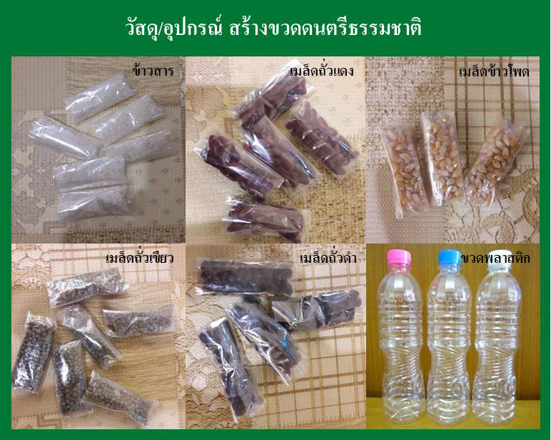 21 ต.ค 65 โครงงานตามแนวทางบ้านนักวิทย์ฯ 18
