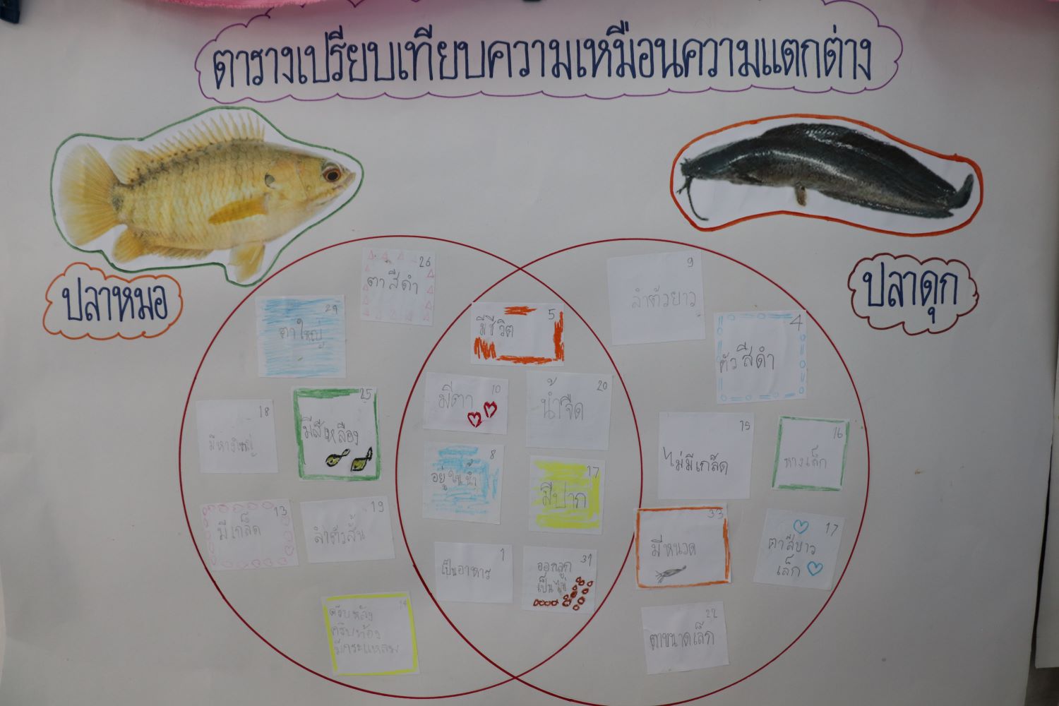 6 ธ.ค. 67 ไตรราชวิทยา 18