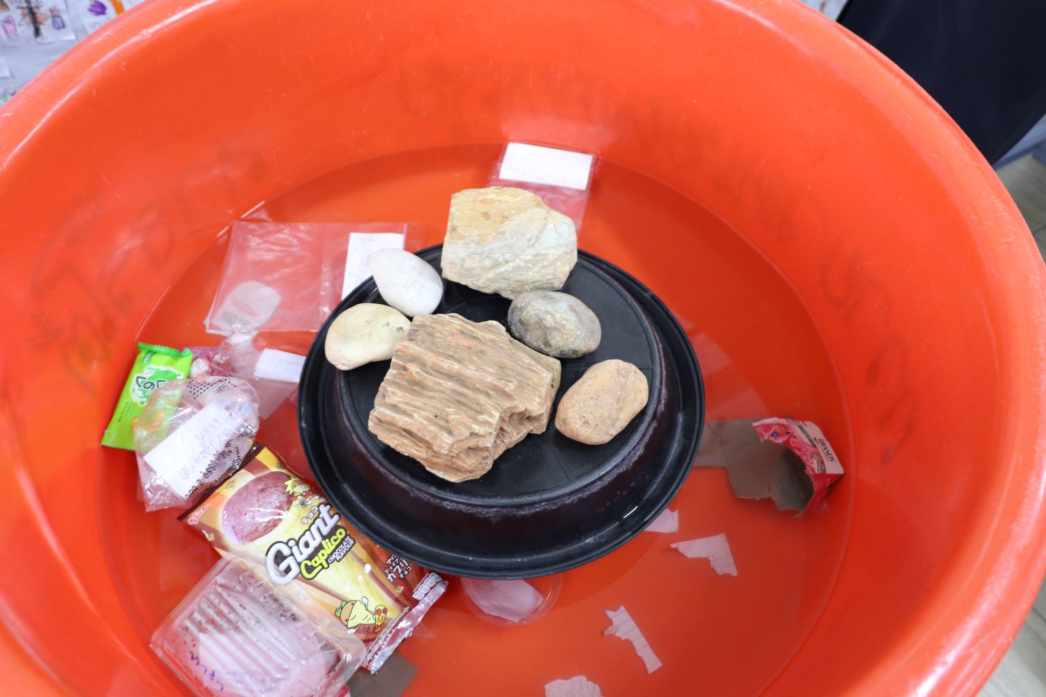 9 ก.ย. 67 นิเทศฯ เซนต์หลุยส์ศึกษา 14