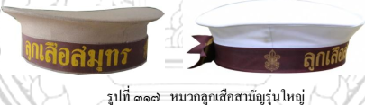 image006 070666