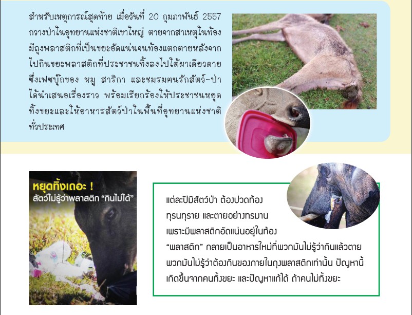 messageImage 1624602755513
