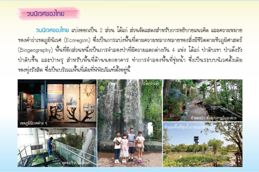 messageImage 1625640655621