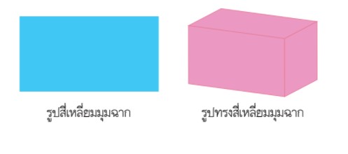 messageImage 1628145208636